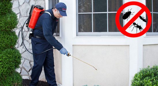 Başyayla Kemirgen İlaçlama böcek ilaçlama ve haşere kontrolü — ilaclama-tr.com